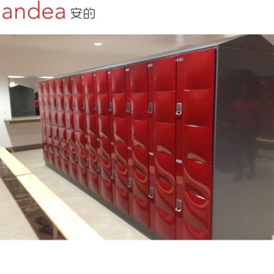 Newest concept luxury design smart verified locker cabinet using metal material with creative app management locks Foshan China